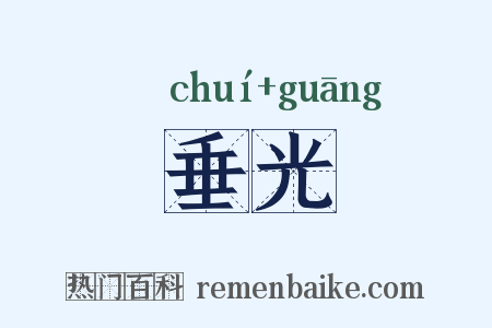垂光是什么意思的图片